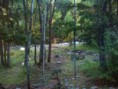 /album/photo-gallery-coloradospringscounselor/img-0172-jpg/